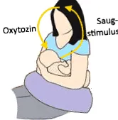 tejem