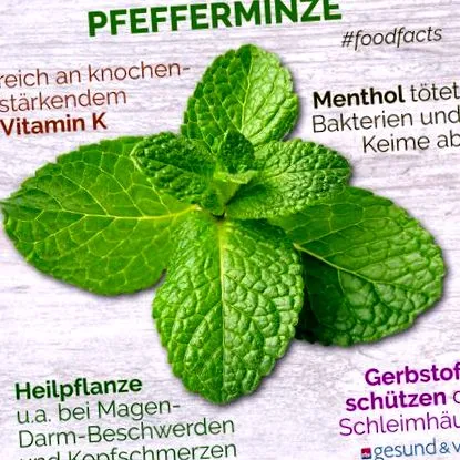 plante