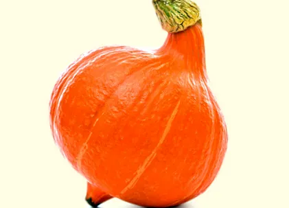 rețete