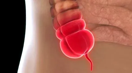 alsó felé