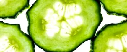 calorii