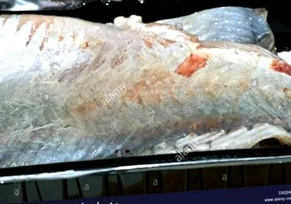 poloneză