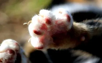 care