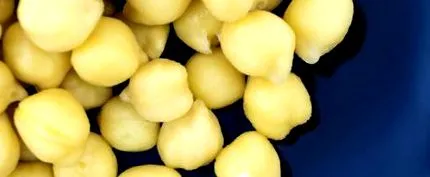 összetevői