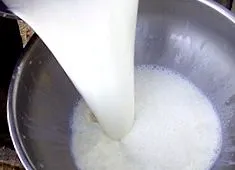 tehéntej