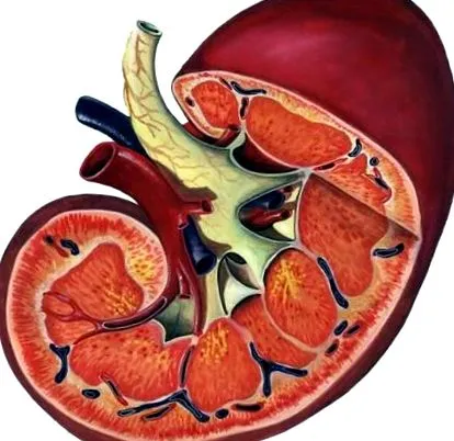 creatininei