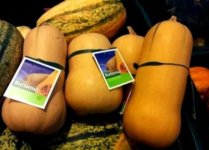 rețetă