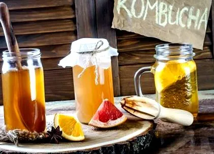 kombucha