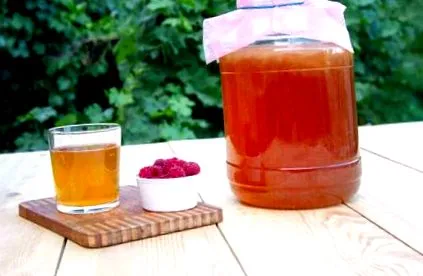 kombucha