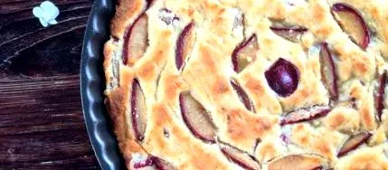 tort