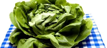 salată