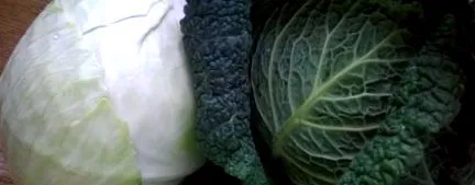 oeconomica oeconomica