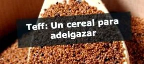 karcsúsító