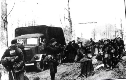 таринга