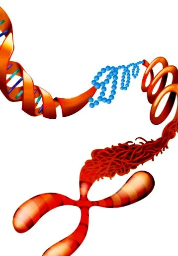 congenita cauze