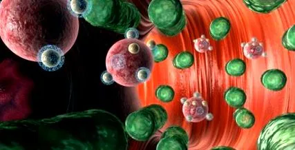 care bacterii