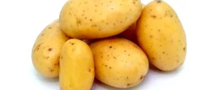 jachetă
