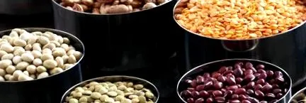 dicsérete