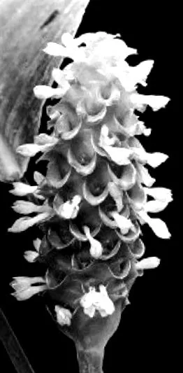 біології