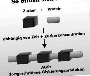 öregedés egészségügyi