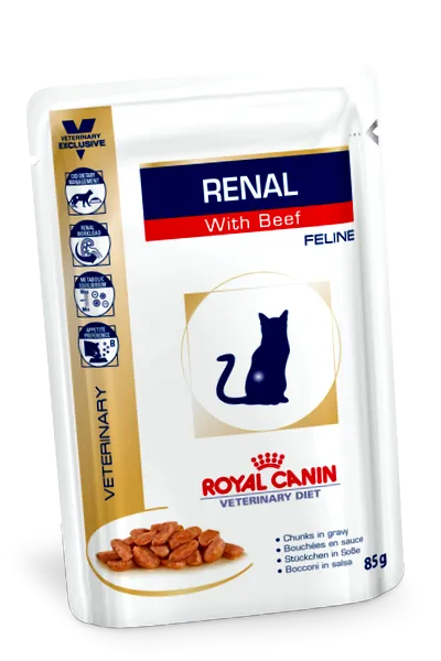 feline diet