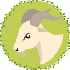 napi