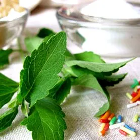 stevia