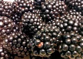 scăzut