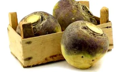 karcsúsító