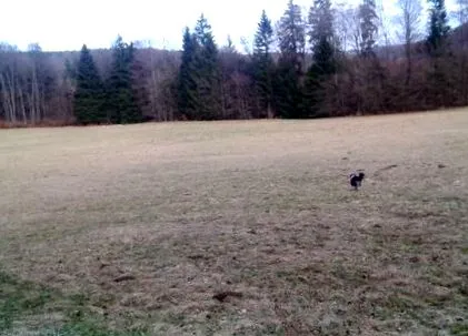 vasárnap napja