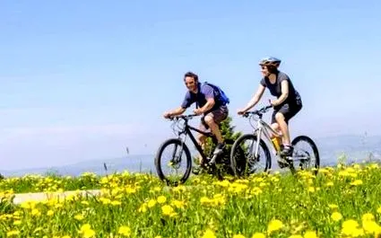 trigliceride
