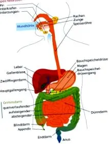 eredeti