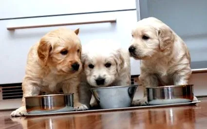 când