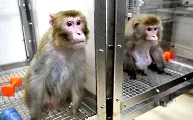 puțin