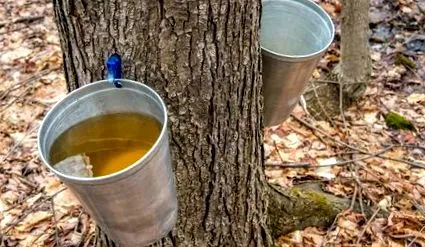 кілограмів