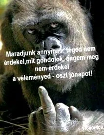 носінні вагітності
