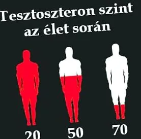 нивата хранителни