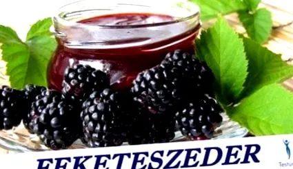 ползи здравето