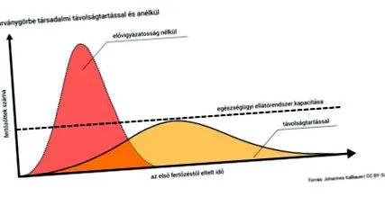 фасулът грахът