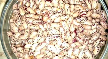 фасула ефект