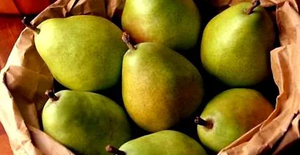 dieting femina