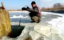 дихає риба
