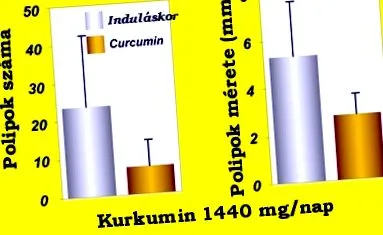 світлі