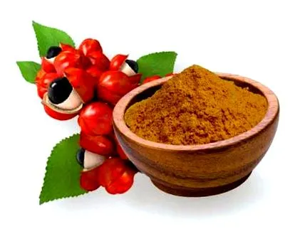 гуарани корисні