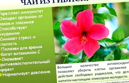 помага чайове