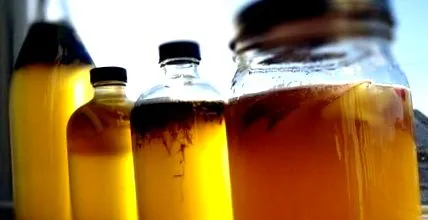 kombucha облекчава