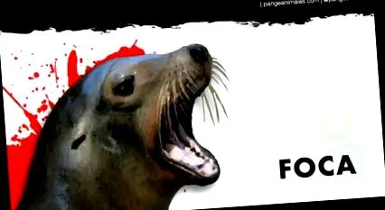 információ