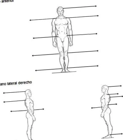 értékelése