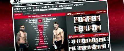 fight