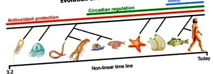 stratégiákról